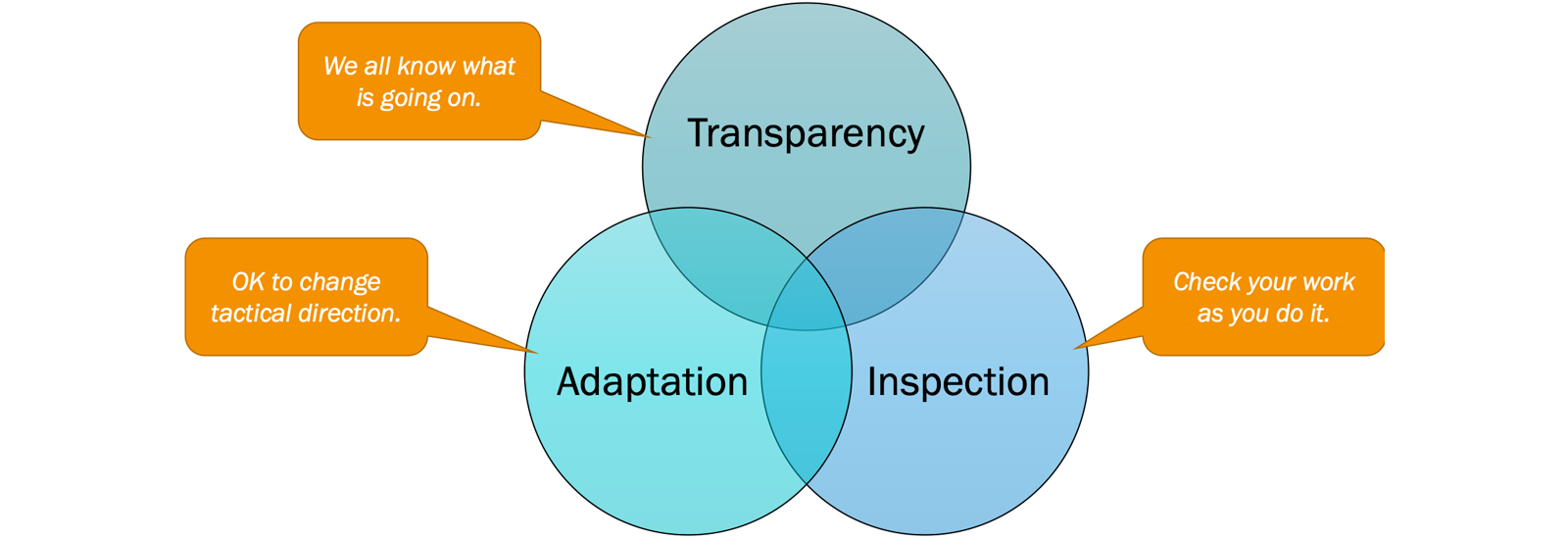 Transparency Insoection Adaptation Implementing SAFe ® 5.1 | SPC Certification